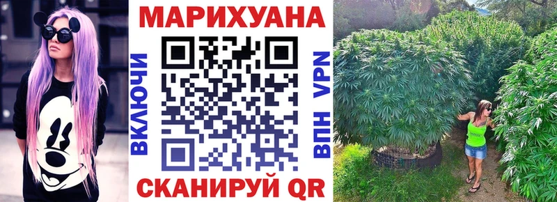 shop официальный сайт  Чадан  Марихуана Ganja 